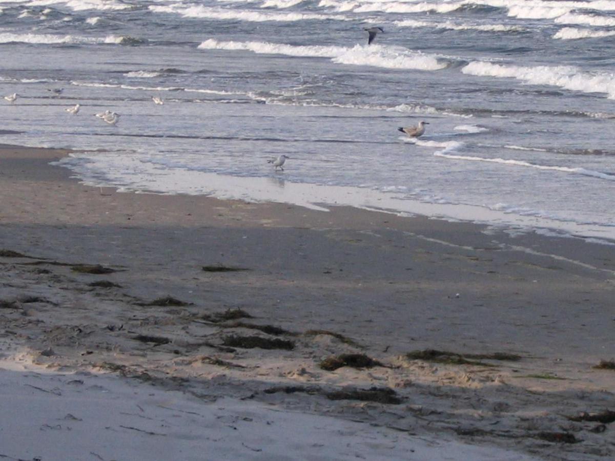 Bergen Ostseebad Binz